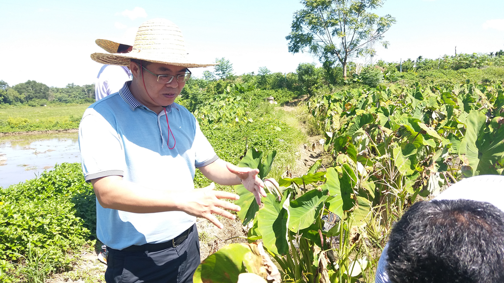 首页|3499拉斯维加斯集团官方网站