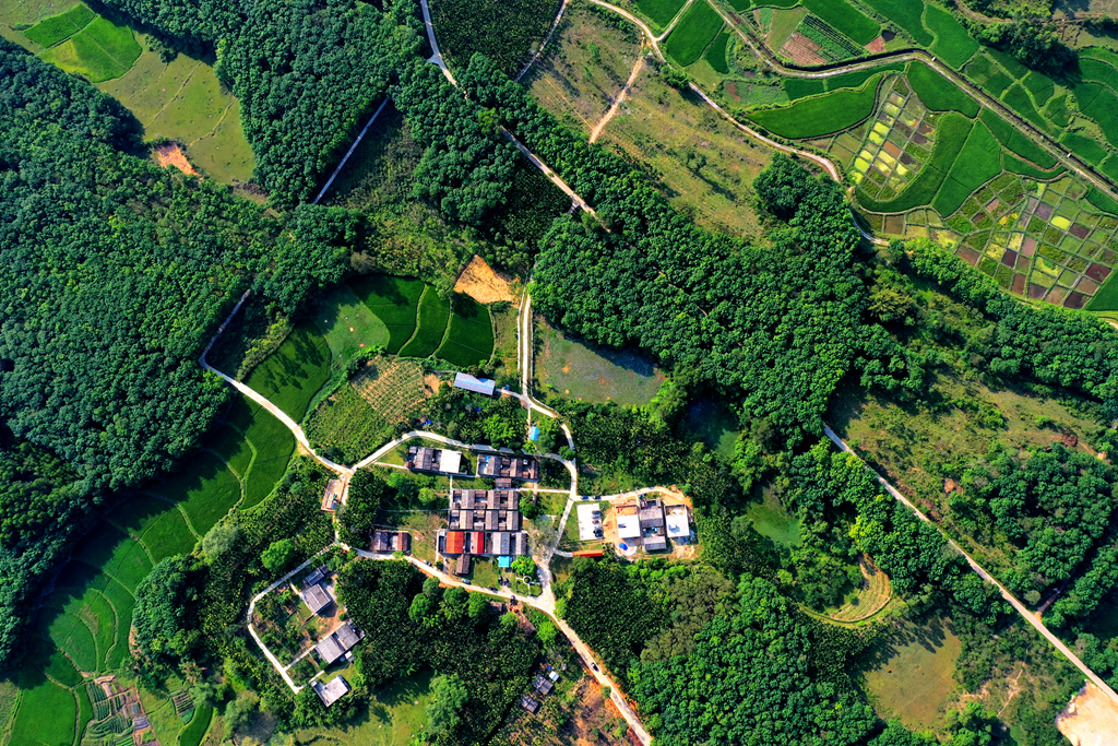 首页|3499拉斯维加斯集团官方网站