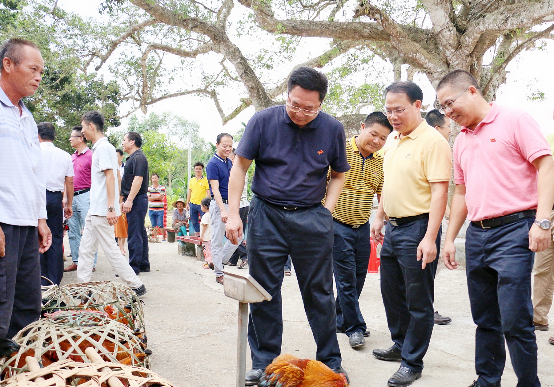 首页|3499拉斯维加斯集团官方网站