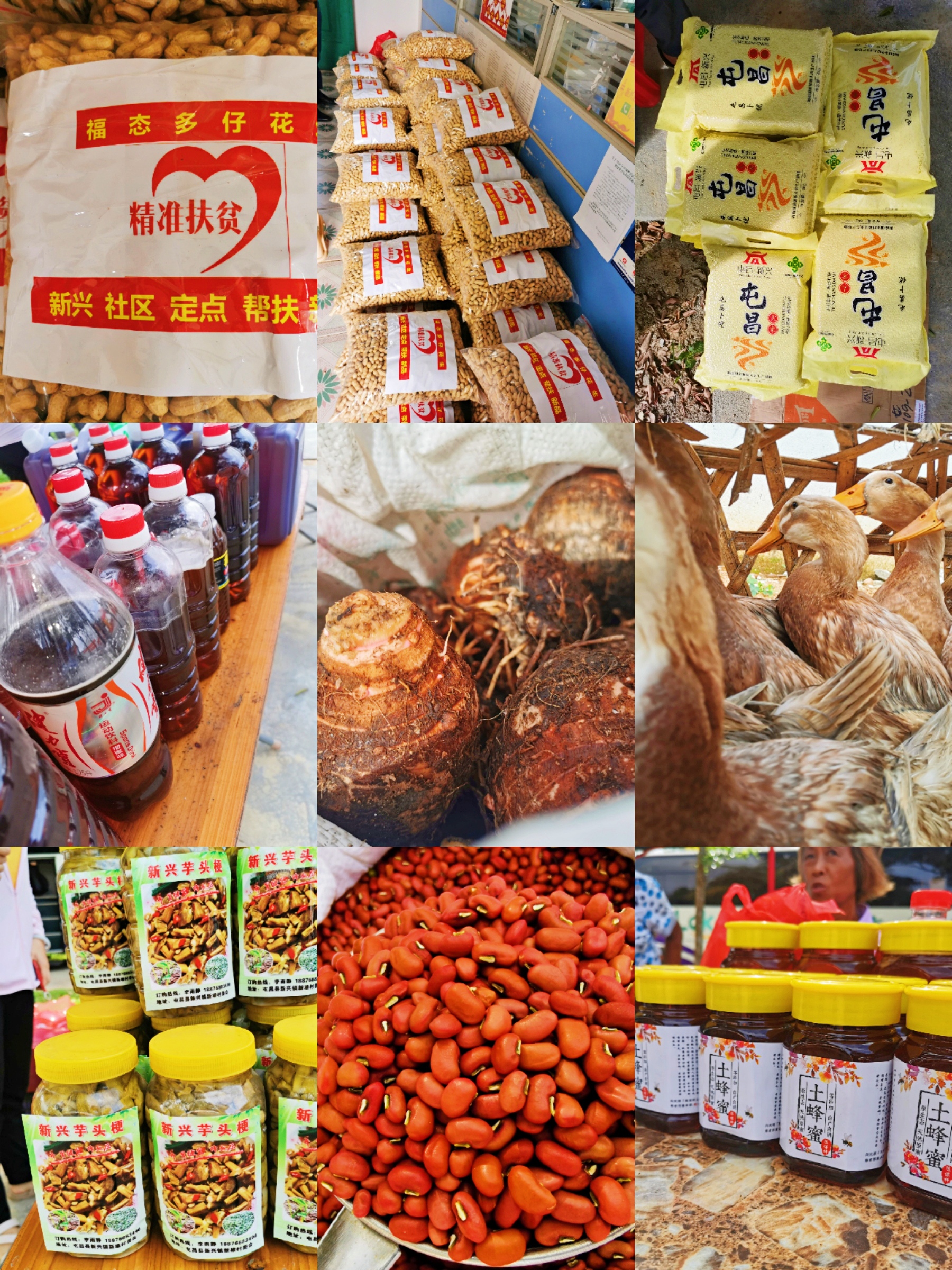 首页|3499拉斯维加斯集团官方网站