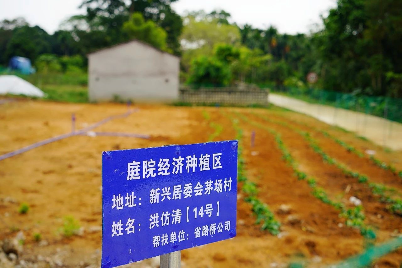 首页|3499拉斯维加斯集团官方网站