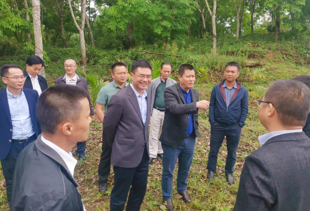 首页|3499拉斯维加斯集团官方网站