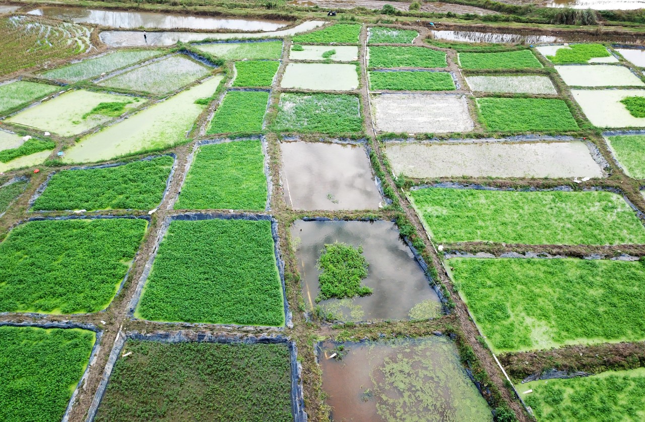 首页|3499拉斯维加斯集团官方网站