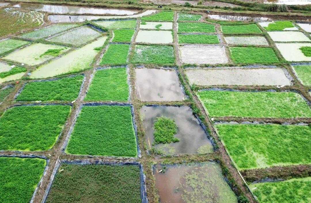 首页|3499拉斯维加斯集团官方网站